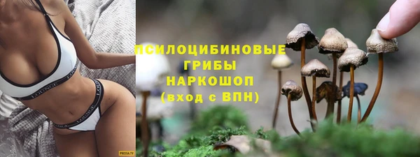 метадон Михайловск