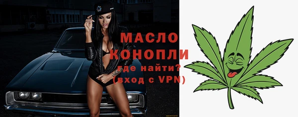 твердый Михайлов