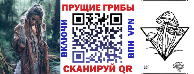 купить наркоту  Усмань  Псилоцибиновые грибы ЛСД 
